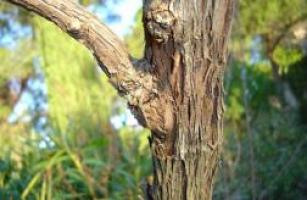 Soudure 1ère année